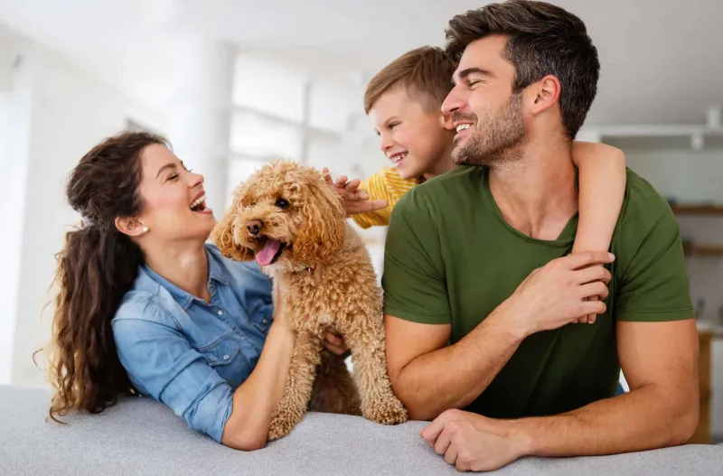 Happy family Beautiful young parents having fun playing with their son at home