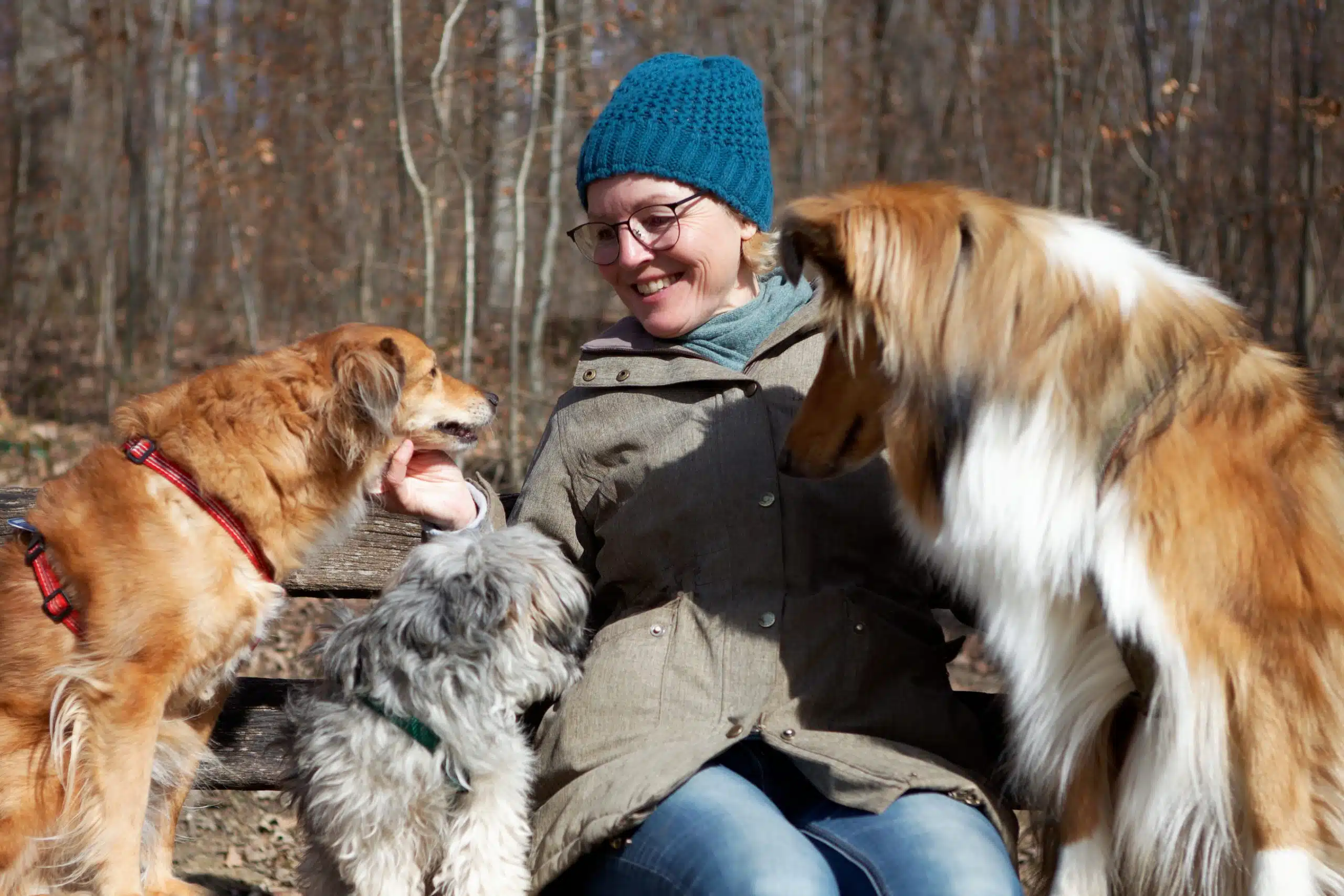 Eine lachende Frau mit blauer Strickmütze, Brille und olivgrüner Winterjacke sitzt auf einer Holzbank im winterlichen Wald und wird von drei Hunden umringt: links ein brauner Mischling mit rotem Halsband, auf ihrem Schoß ein kleiner grau-weißer Terrier-Mix, und rechts drängt sich ein großer, hell-braun-weißer Collie an sie heran. Die Frau wirkt sichtlich vergnügt inmitten ihrer Hunde. Im Hintergrund ein kahler Laubwald im Sonnenlicht.