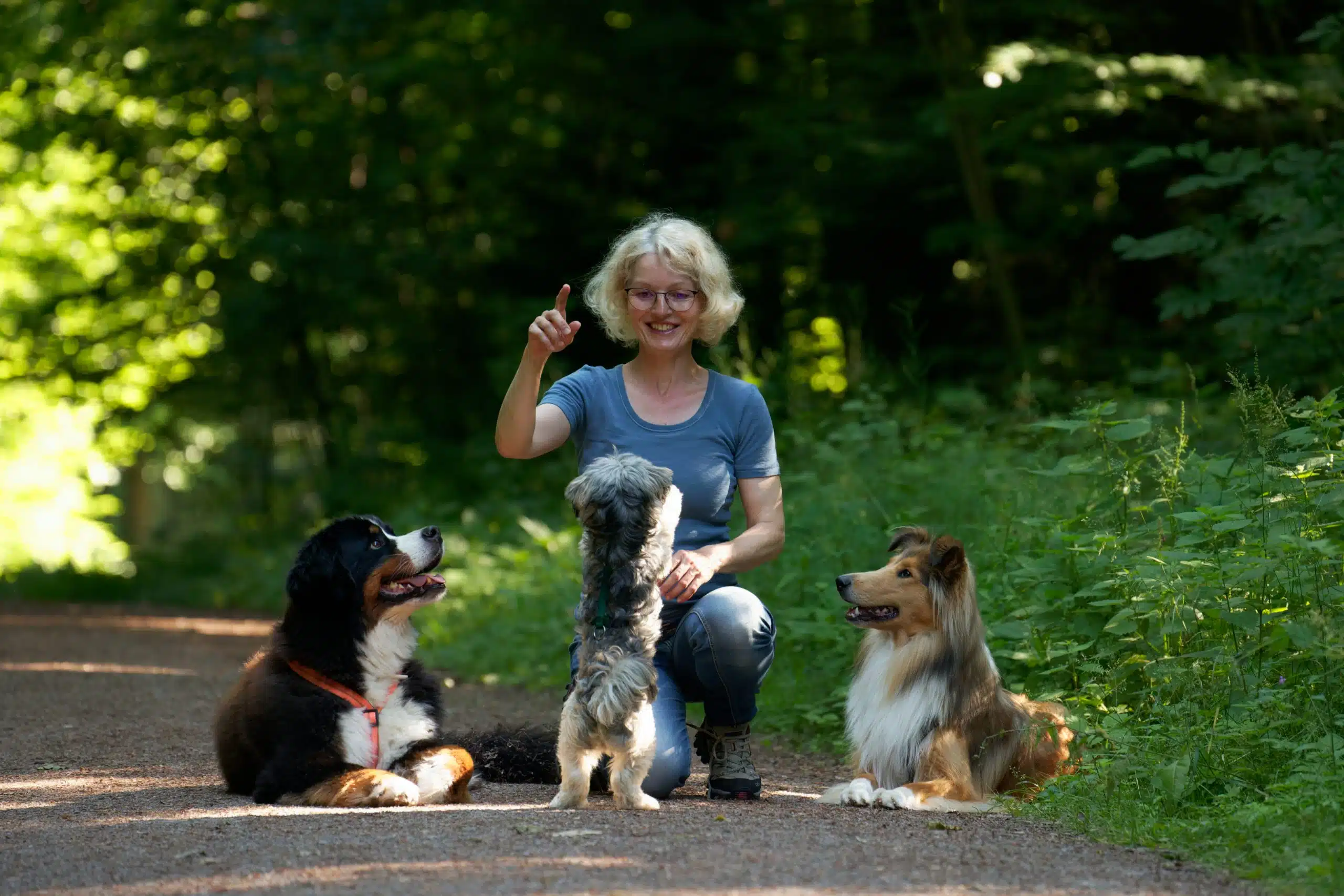 Eine lächelnde Frau mit kurzen, blonden Haaren, Brille und blauem T-Shirt hockt auf einem Waldweg und gibt mit erhobenem Zeigefinger ein Handzeichen. Der kleine grau-schwarze Terrier-Mix vor ihr macht „Männchen". Links liegt entspannt ein Berner Sennenhund mit rotem Geschirr, rechts ein hell-braun-weißer Collie. Im Hintergrund ein sommerlich-grüner Wald mit durchscheinendem Sonnenlicht.