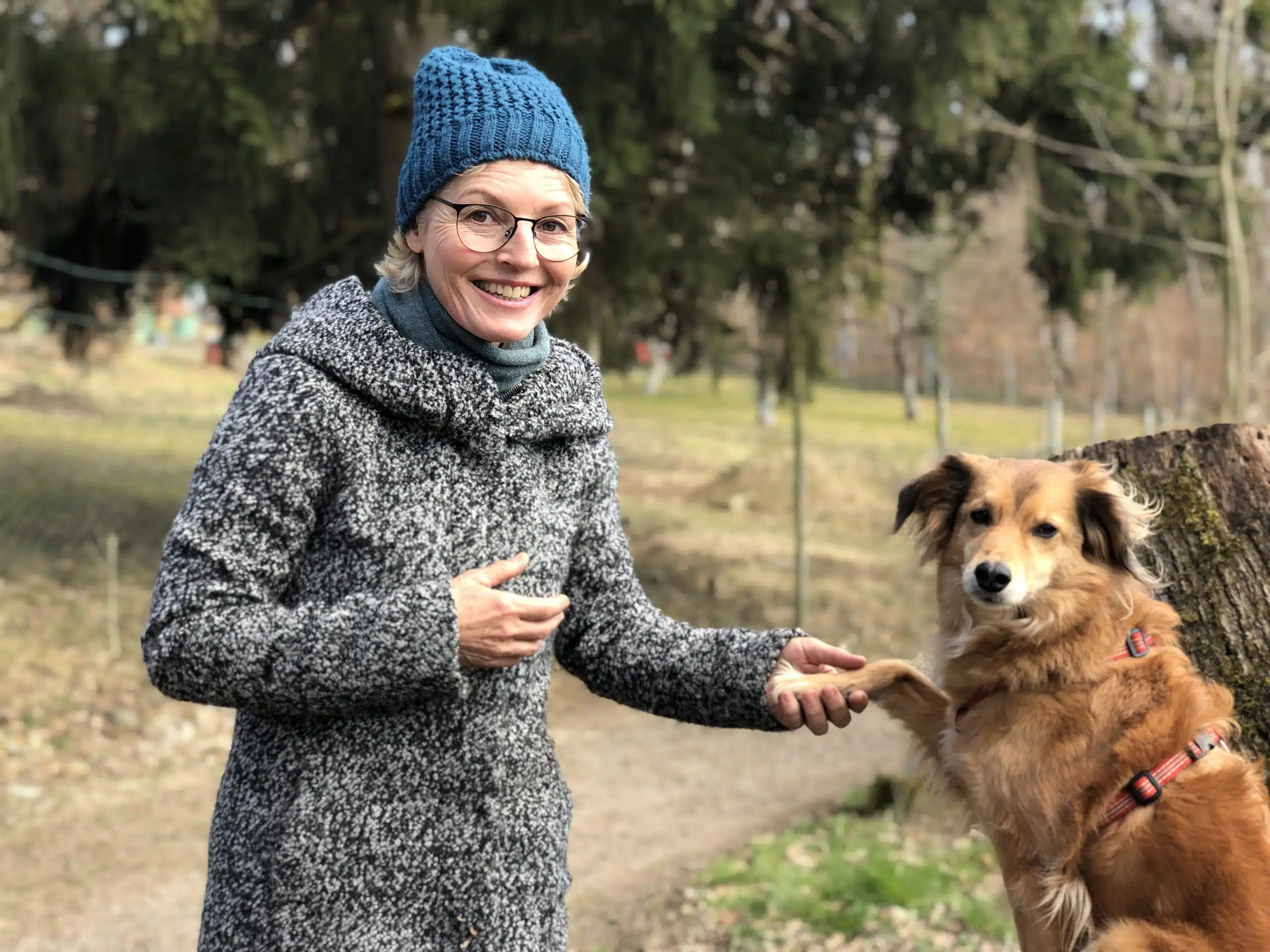 Eine lächelnde Frau mit blauer Strickmütze, Brille und grauem Wollmantel hält die Pfote eines braunen Mischlingshundes mit rotem Halsband in ihrer Hand — der Hund gibt ihr freundlich „Pfötchen". Der Hund sitzt neben einem Baumstumpf. Im Hintergrund ein winterlich-kahler Park mit Bäumen und einem Weg.