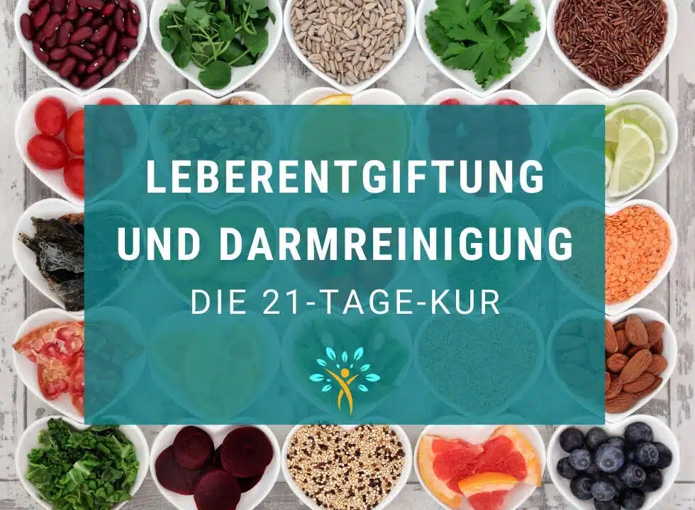 Grafik mit herzförmigen weißen Schälchen voller bunter Lebensmittel (Bohnen, Kräuter, Samen, Beeren, Quinoa, Mandeln u. a.) als Rahmen. Mittig ein türkises Textfeld mit weißer Aufschrift „Leberentgiftung und Darmreinigung – Die 21-Tage-Kur" und dem lanaprinzip-Logo.