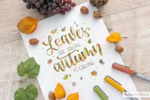 leaves-are-falling-autumn-is-calling - Webinare und Kurse Handlettering „Leaves are falling, autumn is calling" in herbstlichen Rot-, Orange- und Grüntönen mit kleinen gezeichneten Blättern und Eicheln, umgeben von echten Physalis, Weintrauben, Eicheln und Blättern auf einem Holztisch. Daneben Brush-Marker in Orange, Grün und Gelb. Foto: Timo Ostrich.