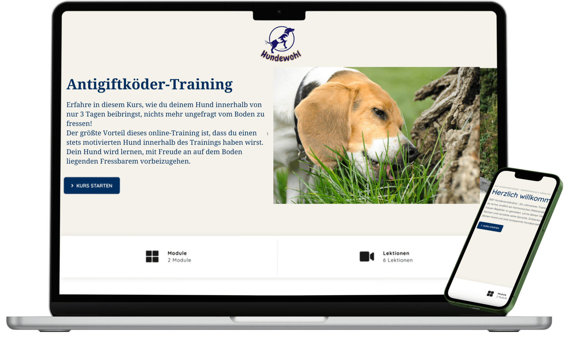 Laptop und Smartphone zeigen die Kursseite „Antigiftköder-Training" der Plattform Hundewohl. Der Text beschreibt, wie Hunde in 3 Tagen lernen, nichts ungefragt vom Boden zu fressen. Rechts ein Foto eines schnüffelnden Beagles im Gras. Unten: „2 Module, 6 Lektionen" und ein blauer „Kurs starten"-Button.