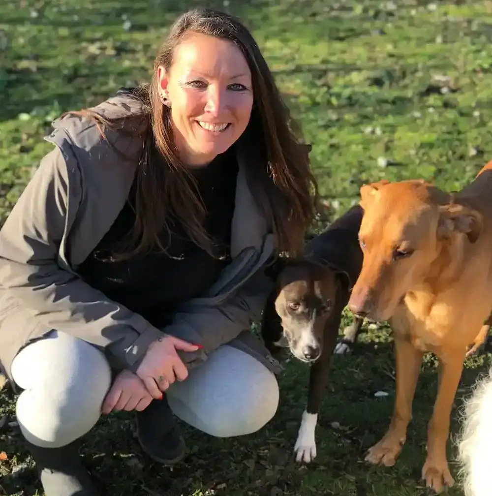 Lächelnde Frau mit langen braunen Haaren, grauer Winterjacke und heller Hose hockt im Freien auf einer Rasenfläche neben zwei Hunden — einem kleineren dunkelbraunen und einem größeren rotbraunen Hund. Im Hintergrund eine grün bewachsene Fläche im Sonnenlicht.