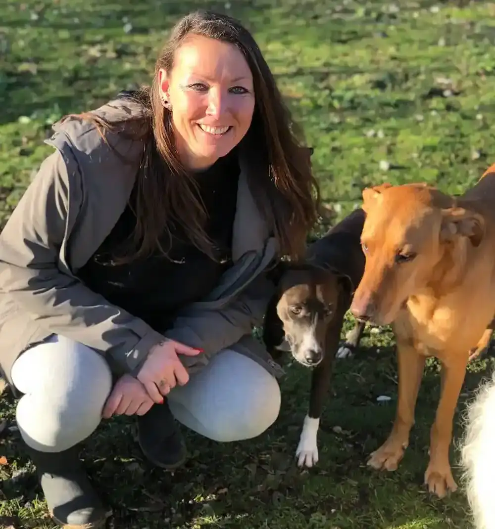 Lächelnde Frau mit langen braunen Haaren, grauer Winterjacke und heller Hose hockt im Freien auf einer Rasenfläche neben zwei Hunden — einem kleineren dunkelbraunen und einem größeren rotbraunen Hund. Im Hintergrund eine grün bewachsene Fläche im Sonnenlicht.