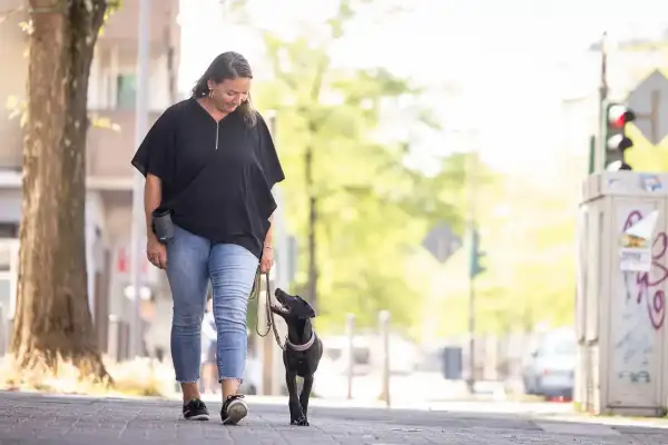 Frau in schwarzem Shirt und Jeans geht auf einem Stadtbürgersteig und schaut lächelnd auf einen schwarzen Labrador-Welpen hinunter, der mit geöffnetem Maul neben ihr läuft und zu ihr hochblickt. Im Hintergrund eine belebte Stadtstraße mit Bäumen und Ampel.