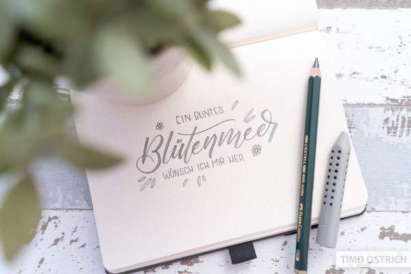 Aufgeschlagenes Bullet-Journal mit Bleistift-Lettering „Ein buntes Blütenmeer wünsch ich mir her" mit kleinen Blüten- und Blattdekors. Daneben ein Faber-Castell 9000 Jumbo-Bleistift und ein grauer Radiergummi-Aufsatz auf weißem Vintage-Holztisch. Foto: Timo Ostrich.